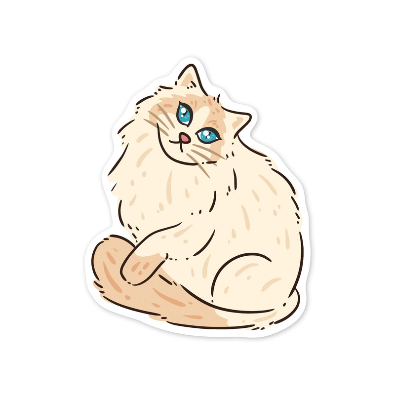 Ragdoll Cat Sticker