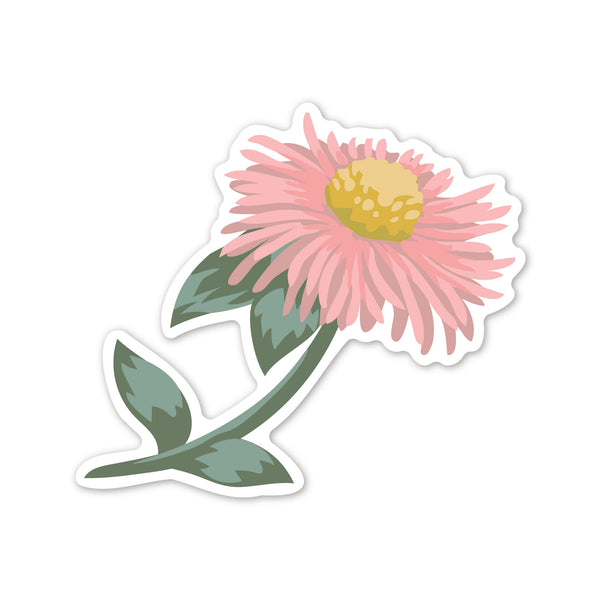 Helmsie Aster Flower Sticker